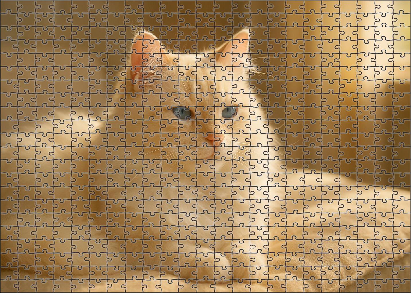 Pearl Frost Fluffy Creamy White With Tender Spirit Puzzle Fun