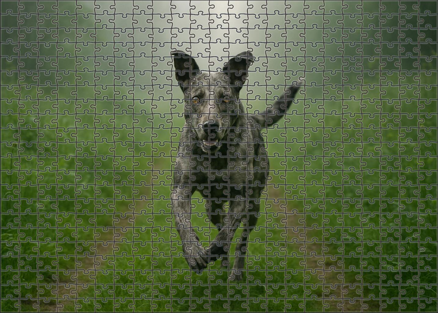 Dappled Mist Puzzle Challenge
