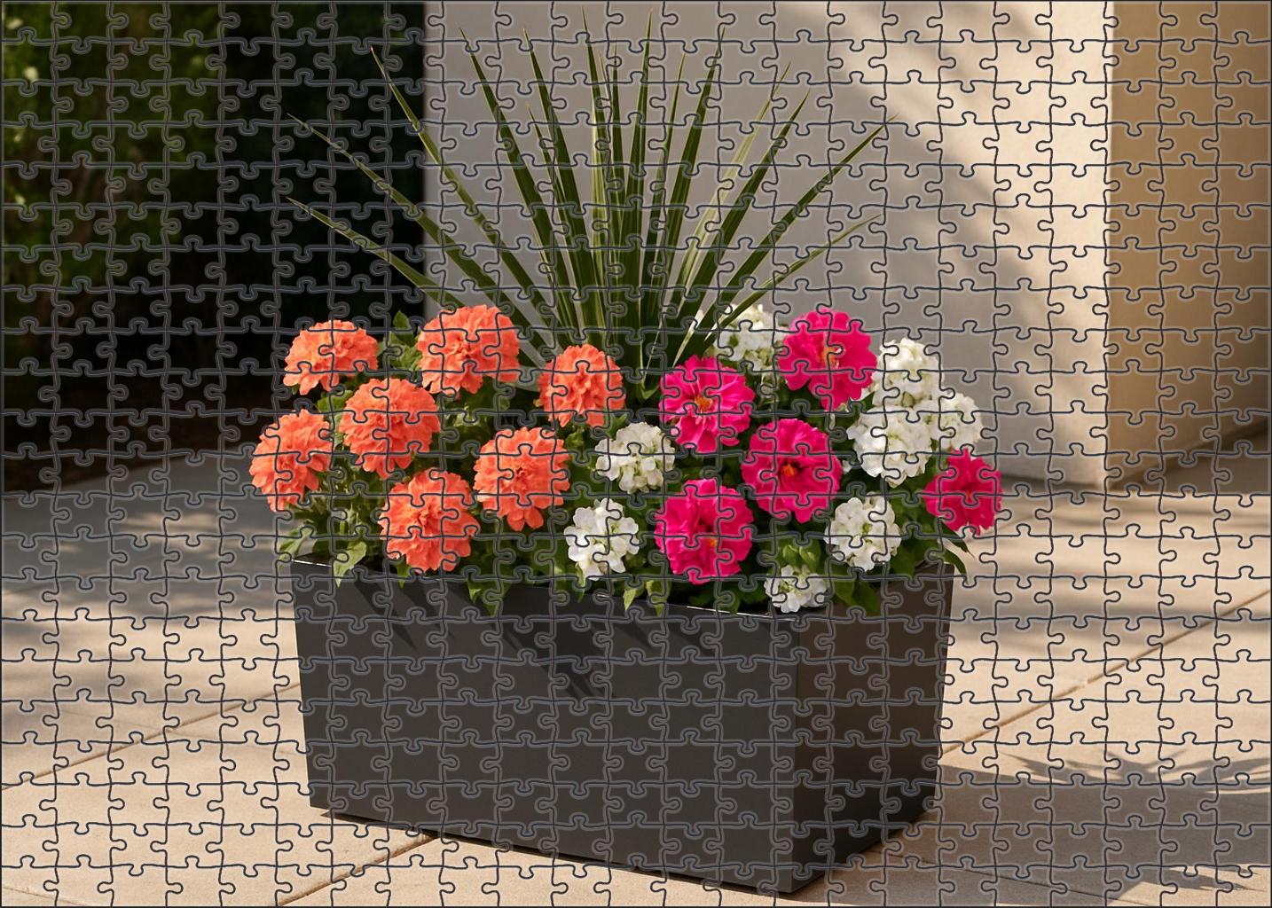 Coral Reef Container Garden Puzzle Challenge