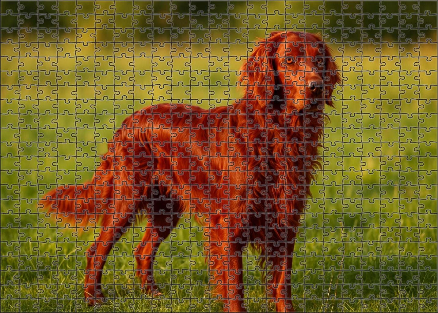 Crimson Ember Family Puzzles