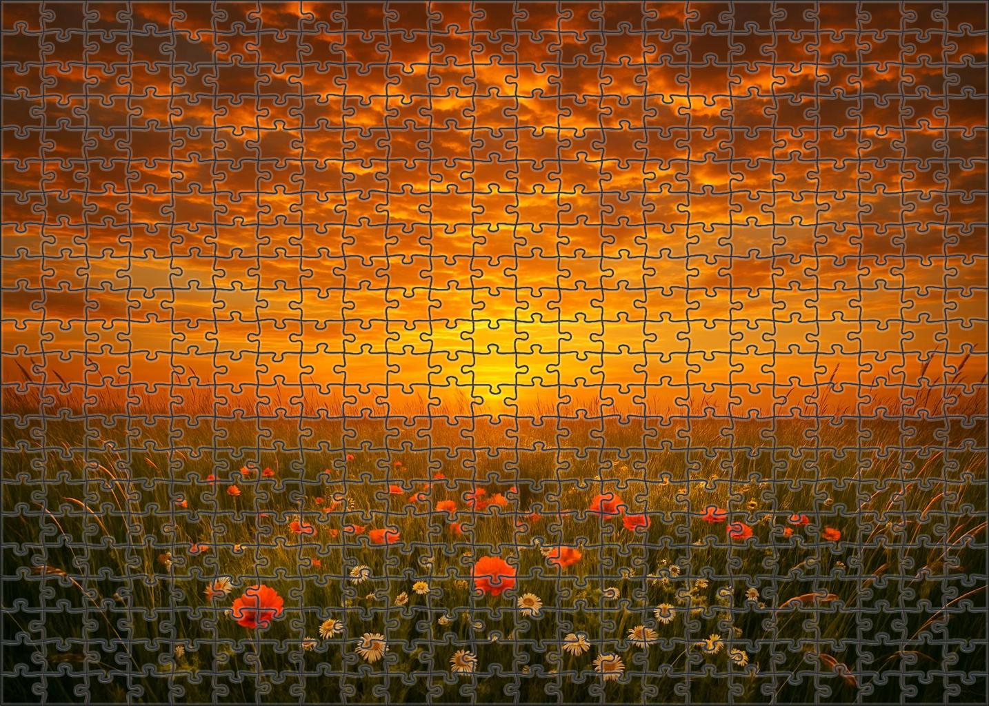 Golden Hour Meadow Puzzle For Adults