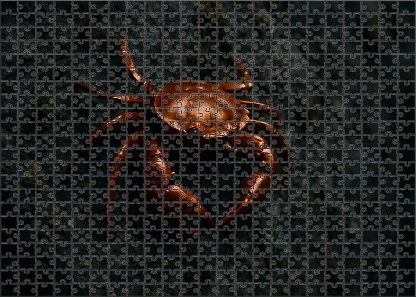 Copper Crest Crab Agile Climber With Metallic Shell 200 Piece Puzzle