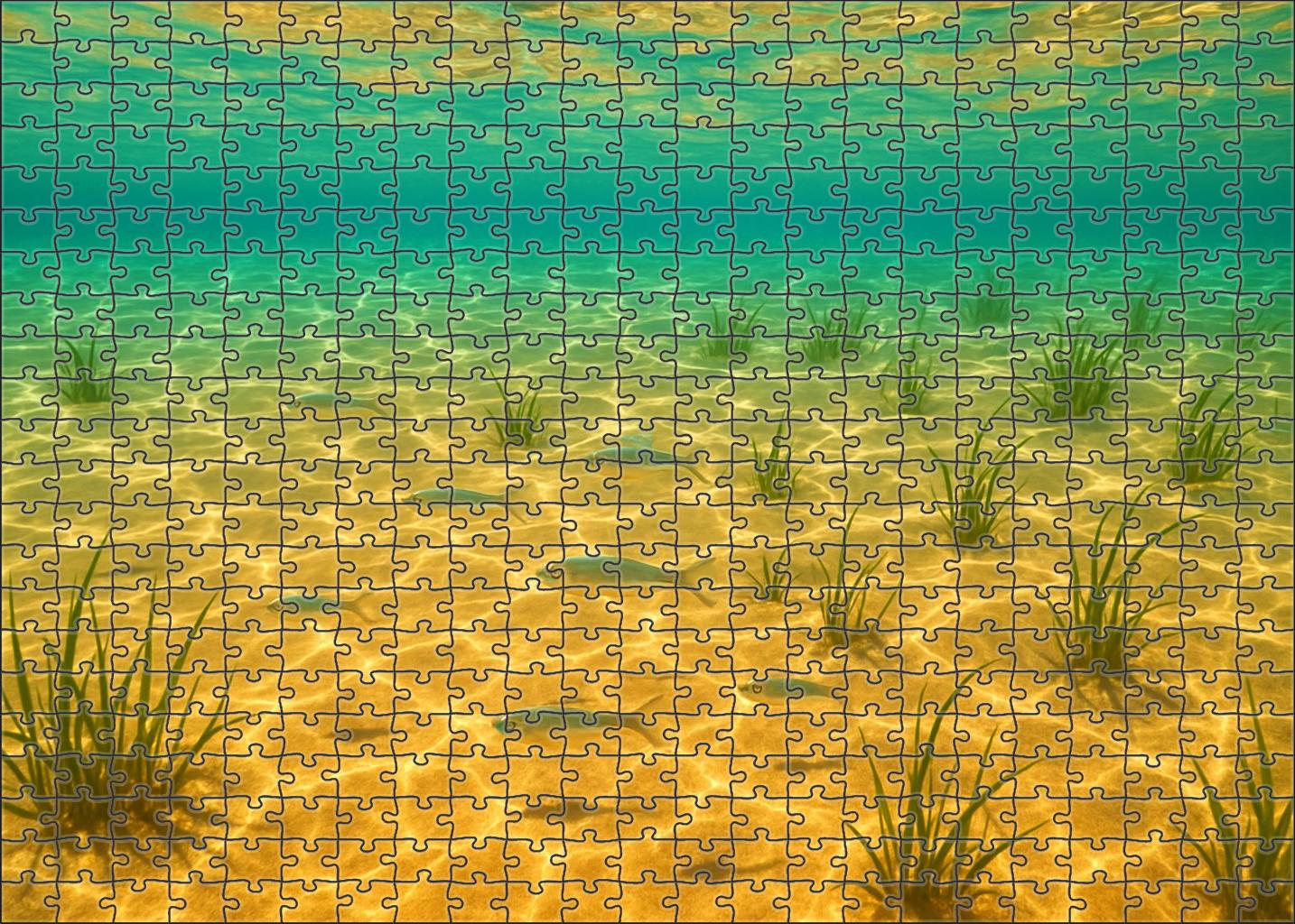 Golden Sandbar Drift Gentle Swells Over Sunlit Shallow Bottom 20 Piece Puzzle