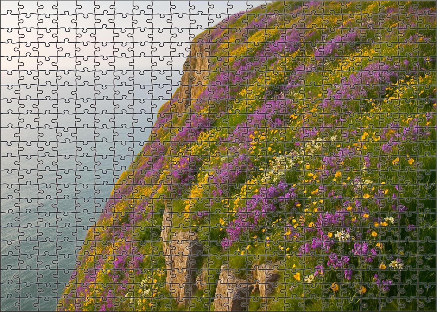 Cliffside Wildflower Terrace Puzzle Collection