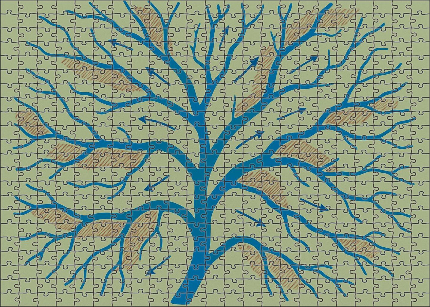 River Delta Hydrodynamic Flowchart Mini Puzzle