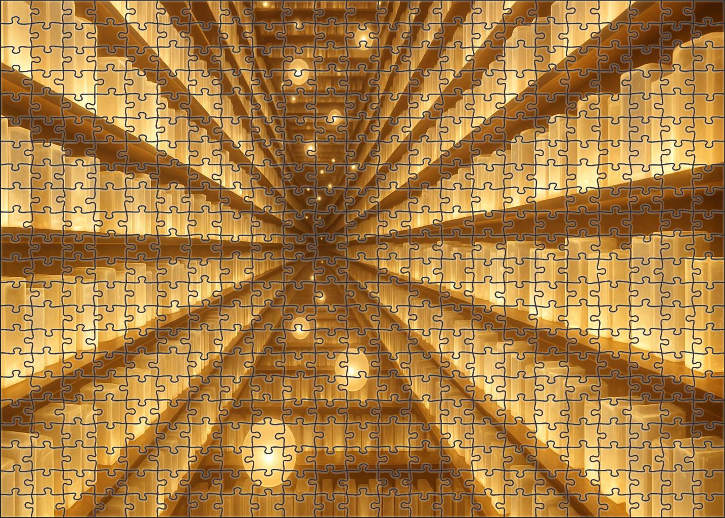 Library Of Endless Reflections Puzzle Challenge