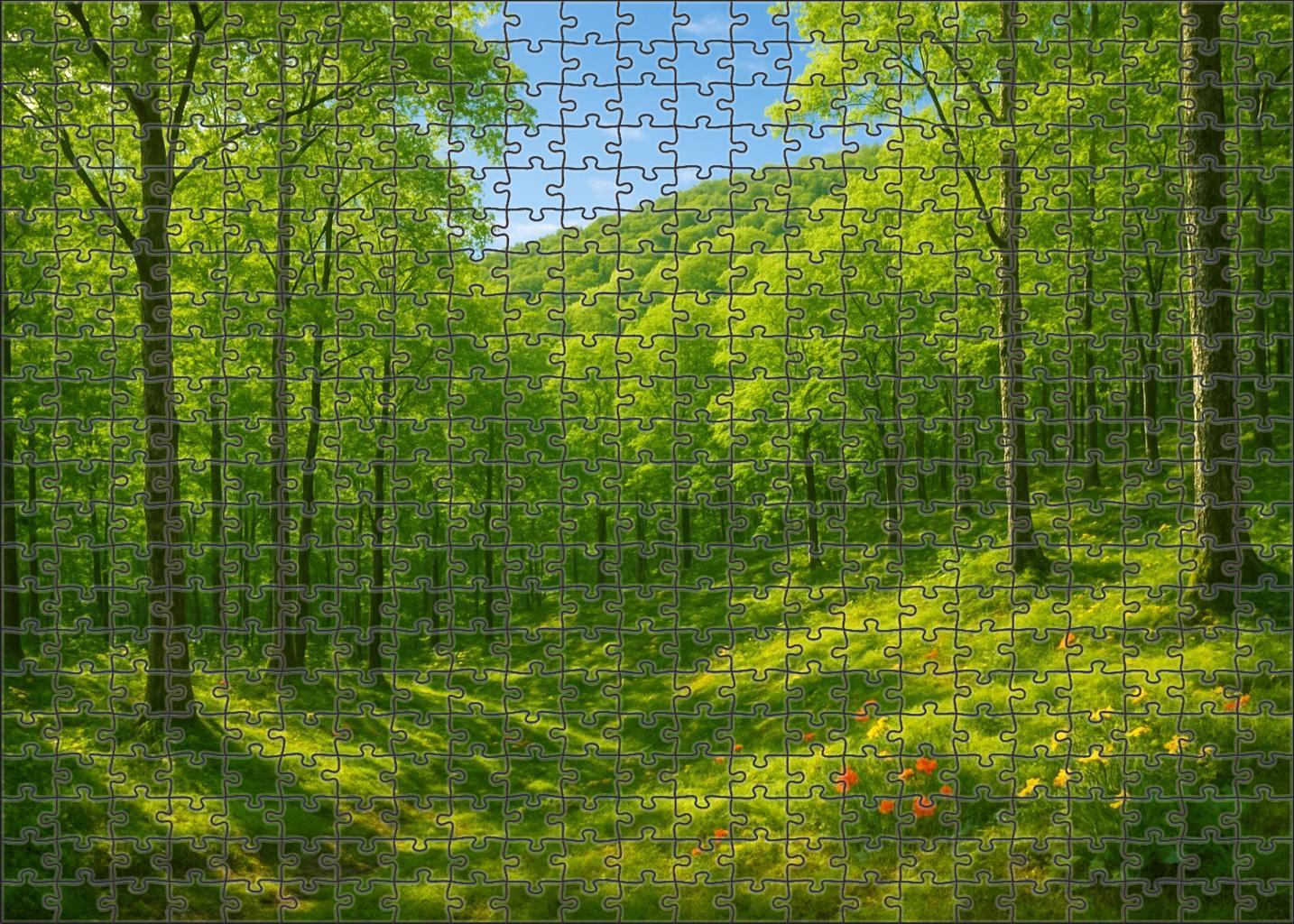 Verdant Ridge Cloak 300 Piece Puzzle