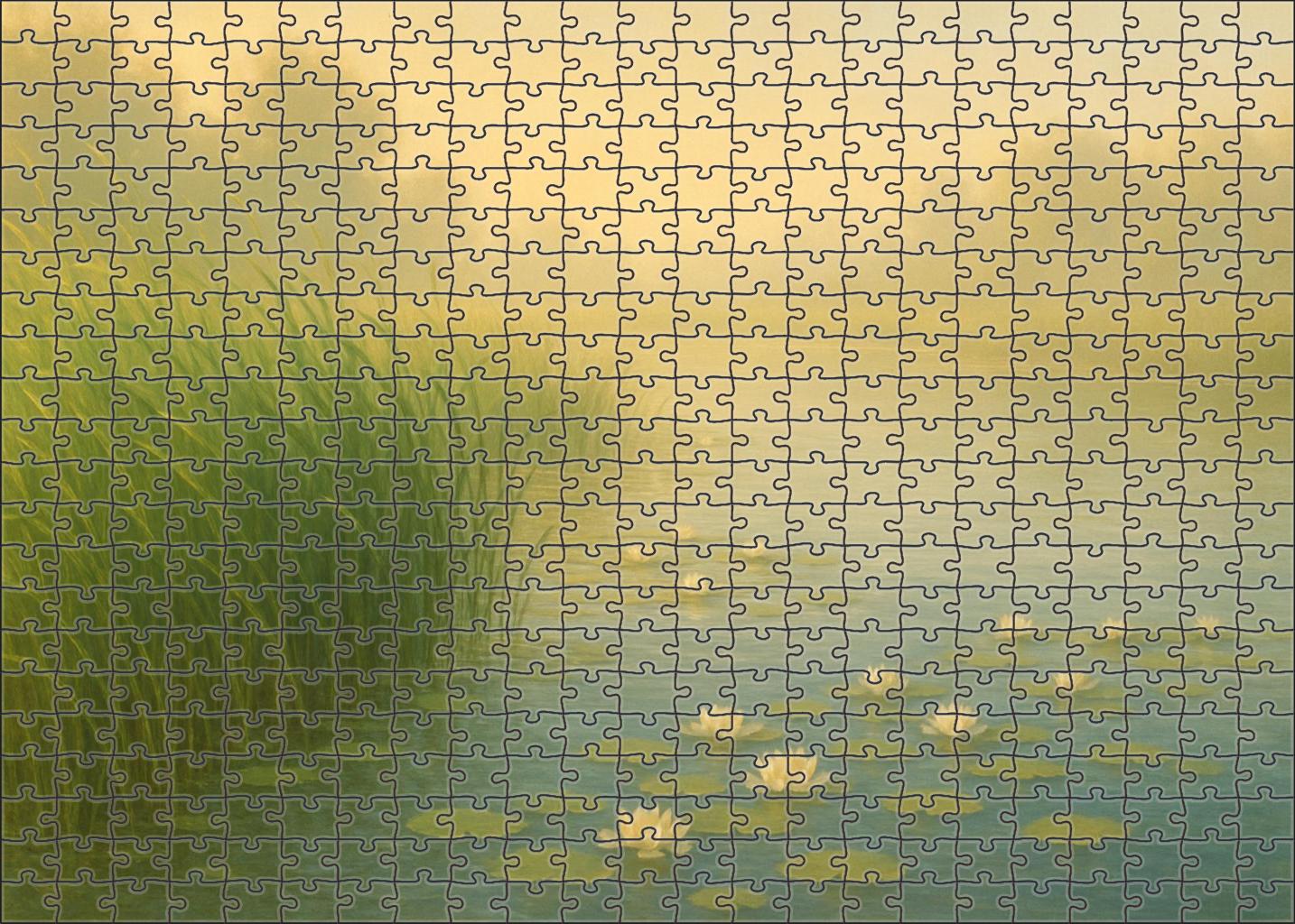 Sapphire Cove Wetland Unique Puzzle Design