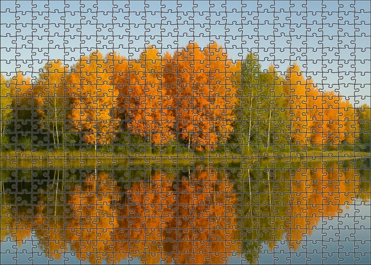 Serene Lake Hollow Puzzle For Kids
