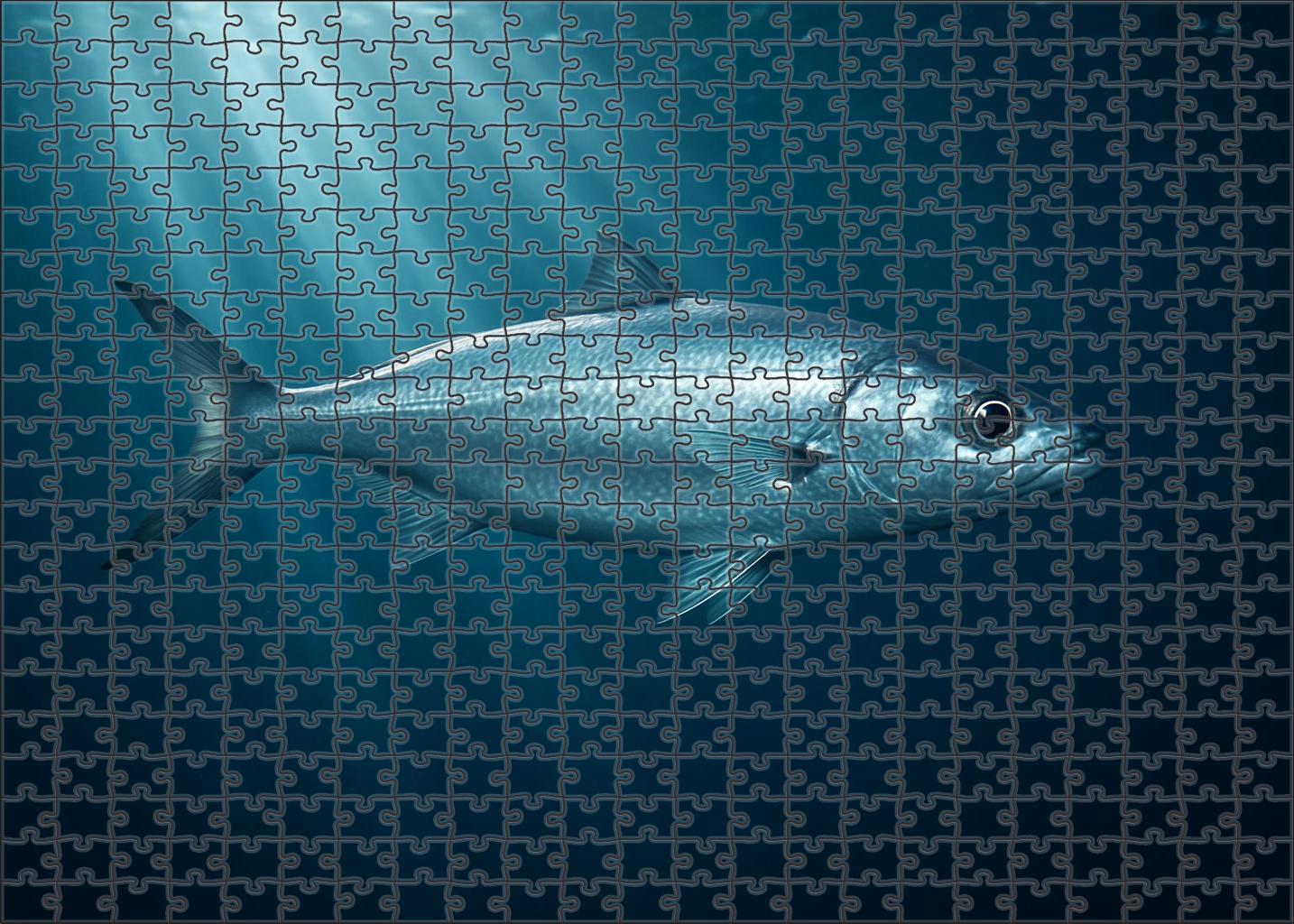 Silverfin Houndfish Agile Midwater Predator Challenging Puzzles