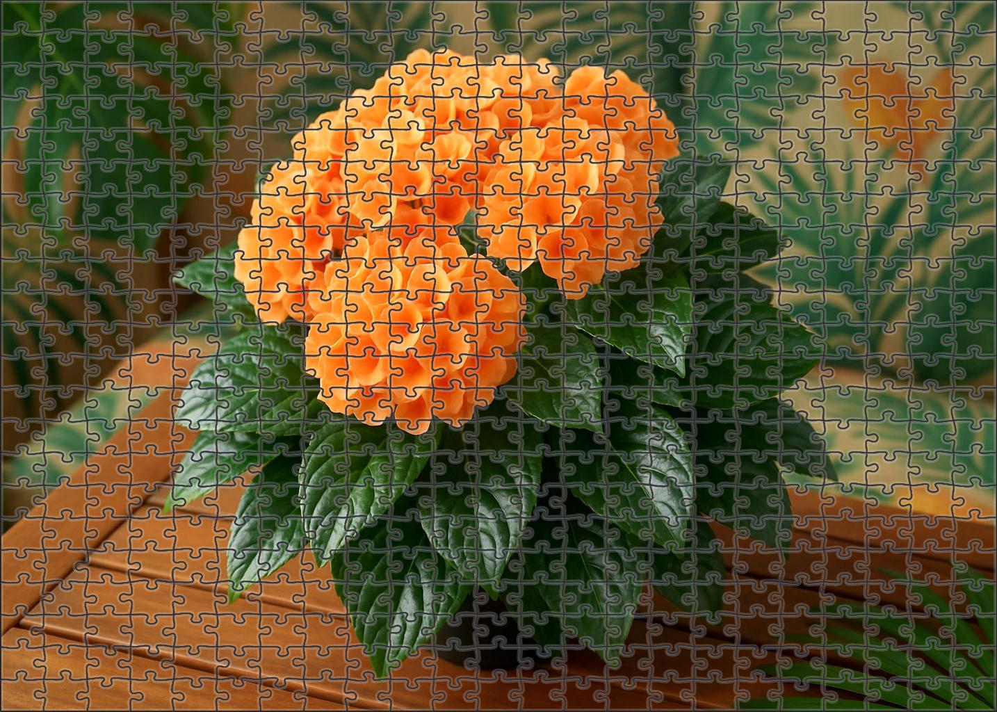Coral Reef Tabletop Clustered Orange And Peach Blooms With Glossy Green Leaf Accents 50 Piece Puzzle
