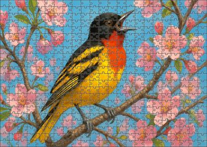 Scarlet-throated Oriole Vibrant Vagabond Of The Lowlands Puzzle Fun