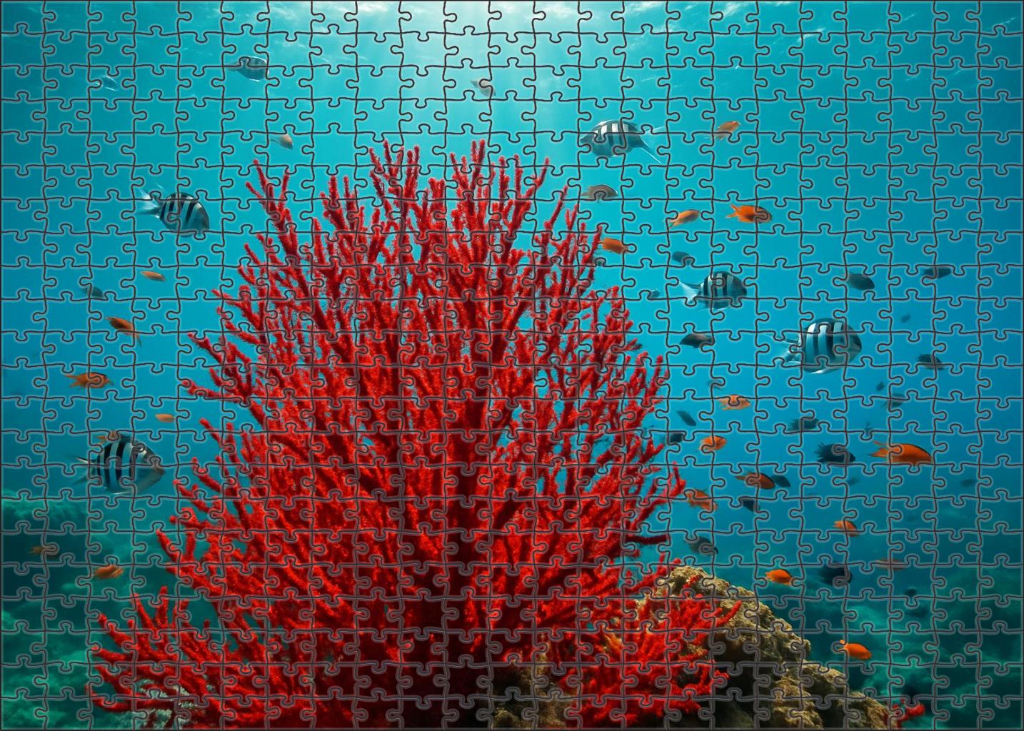 Crimson Reef Enclave Custom Jigsaw Puzzle