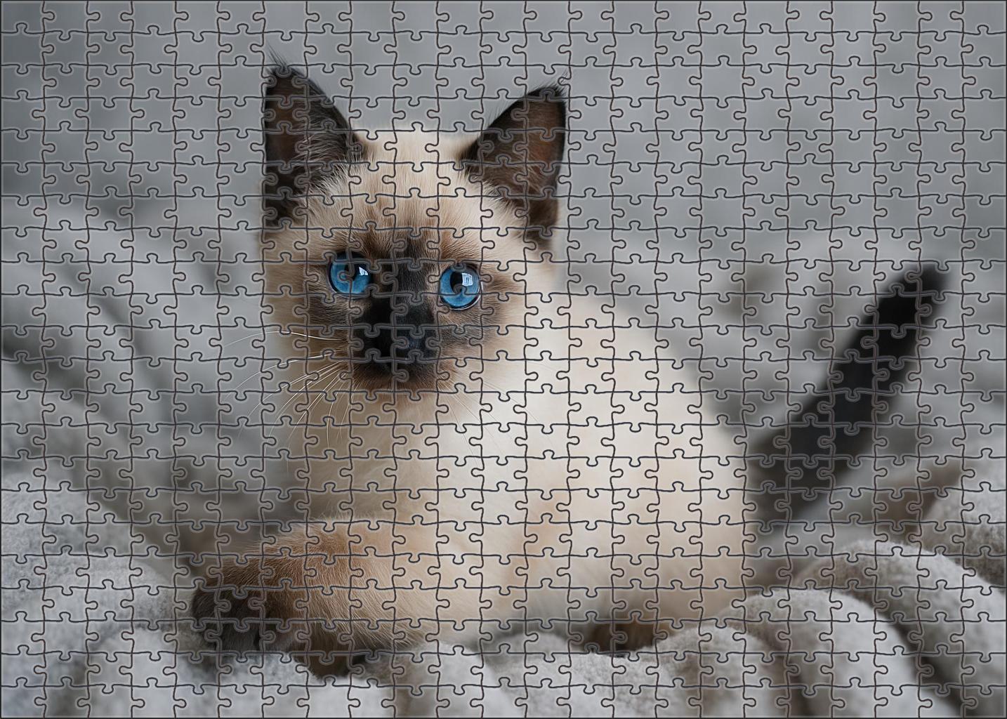 Sapphire Dream 50 Piece Puzzle