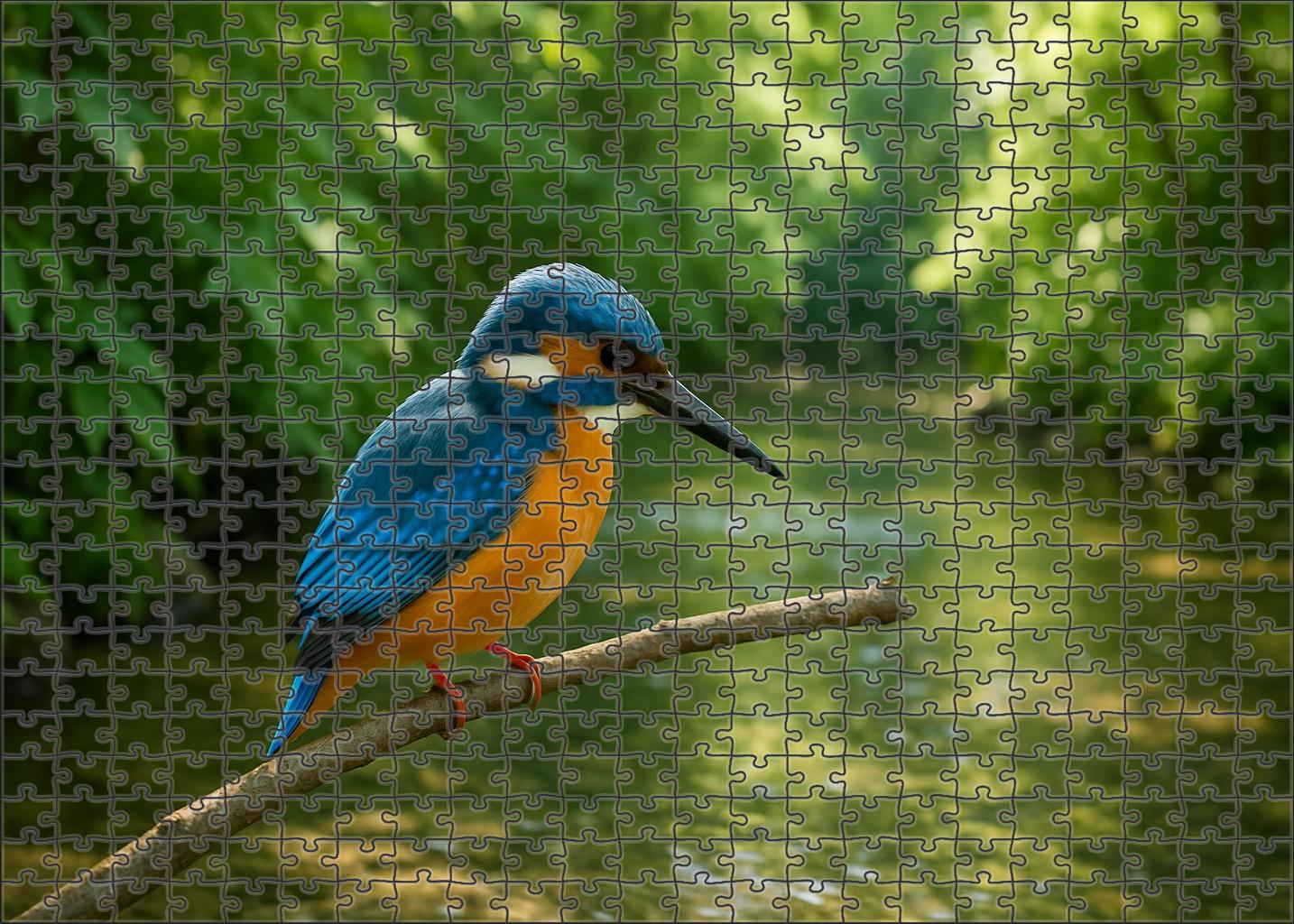 Azure Kingfisher The Vibrant Water's Jewel Unique Puzzle Design