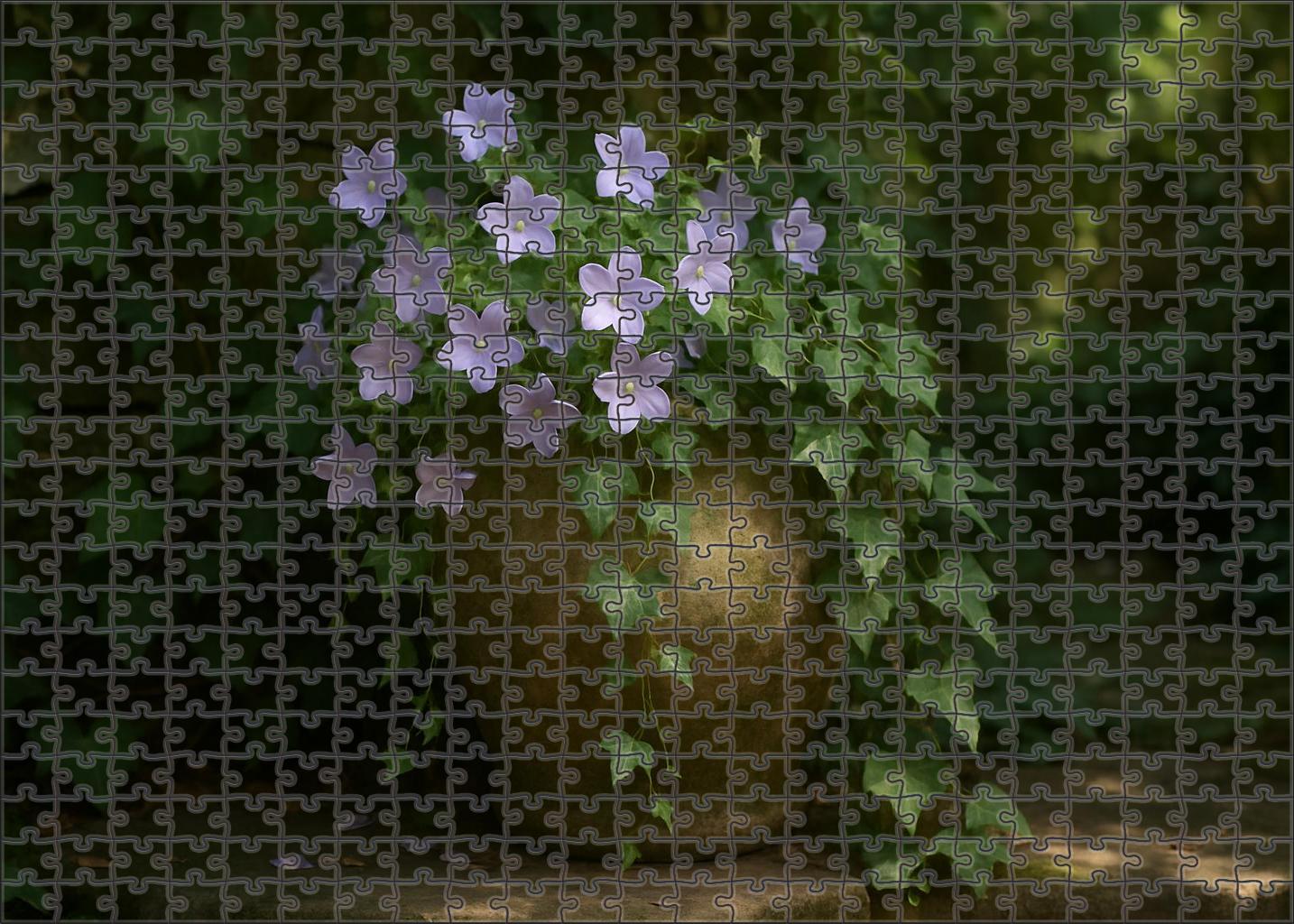 Ivy And Lilac Corner Family Puzzles