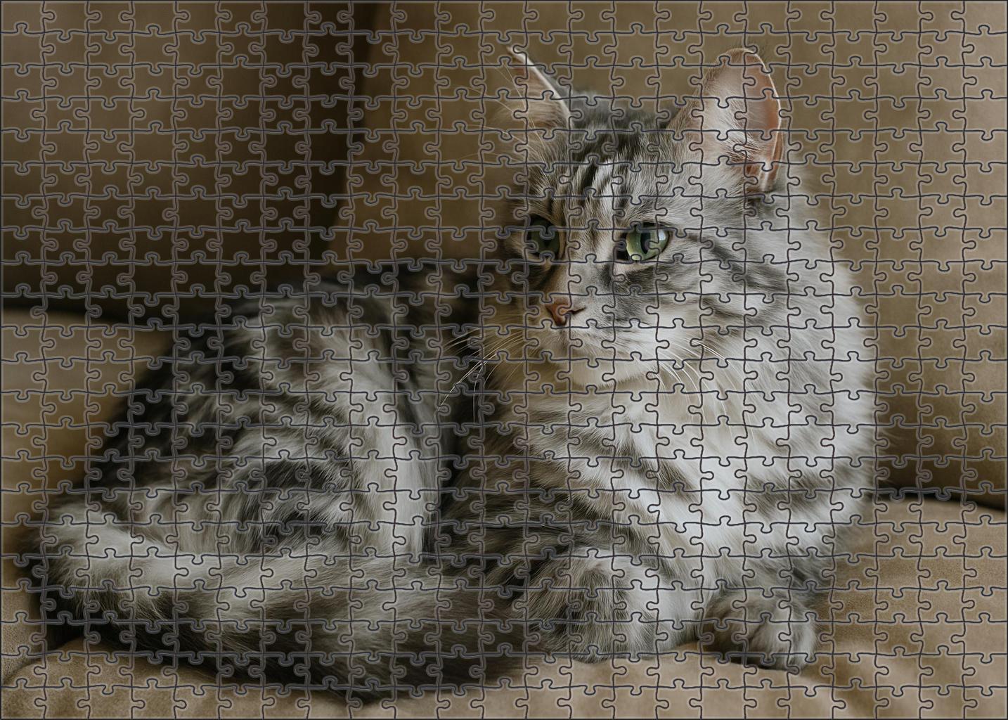 Marbled Pearl Soft Gray And White Marbled Mediumhair With Calm Poise 200 Piece Puzzle