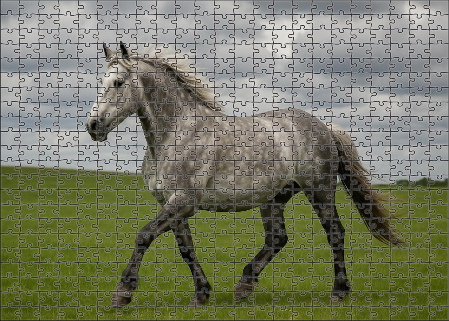 Silver Dapple Sleek Mottled Coat Herding Dog With Steady Gaze Puzzle Collection