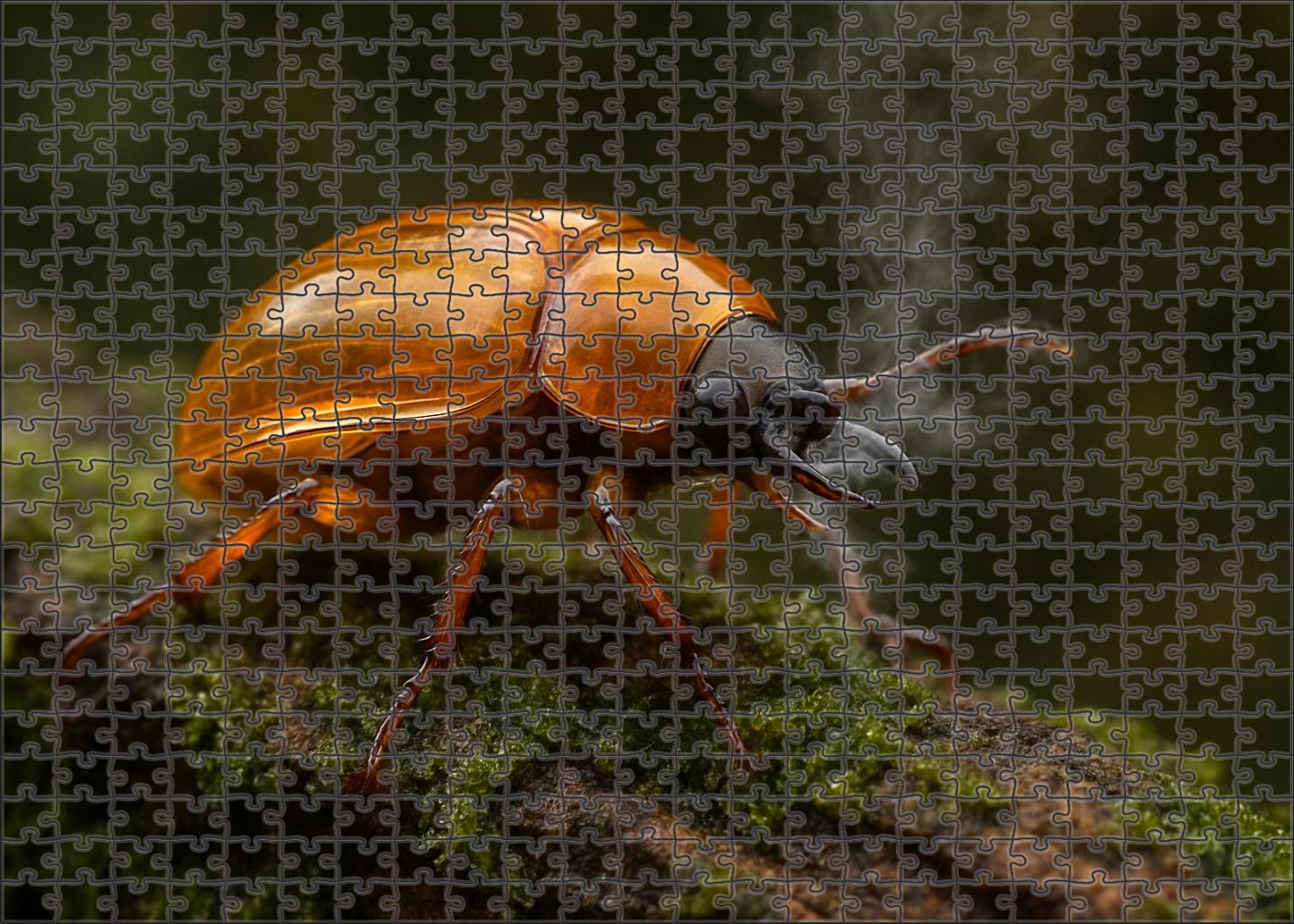 Amber Fang Beetle Jewel-like Defender With Acidic Secretion 200 Piece Puzzle