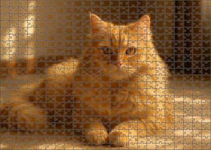 Golden Mirage Radiant Golden-hued Longhair With Affectionate Heart 200 Piece Puzzle