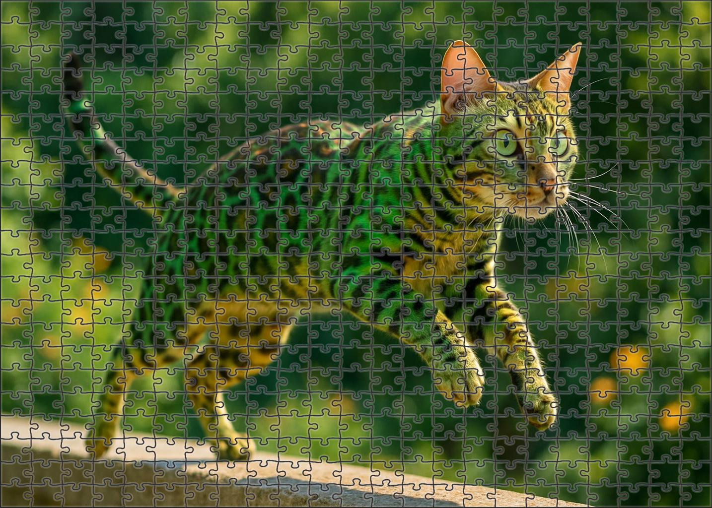 Jade Flicker Shorthaired Cat With Speckled Tabby Pattern And Bold Energy Puzzle Fun