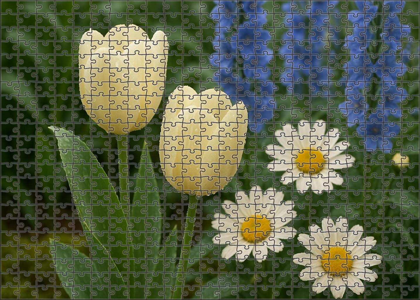 Dew-kissed Garden Elegance Challenging Puzzles