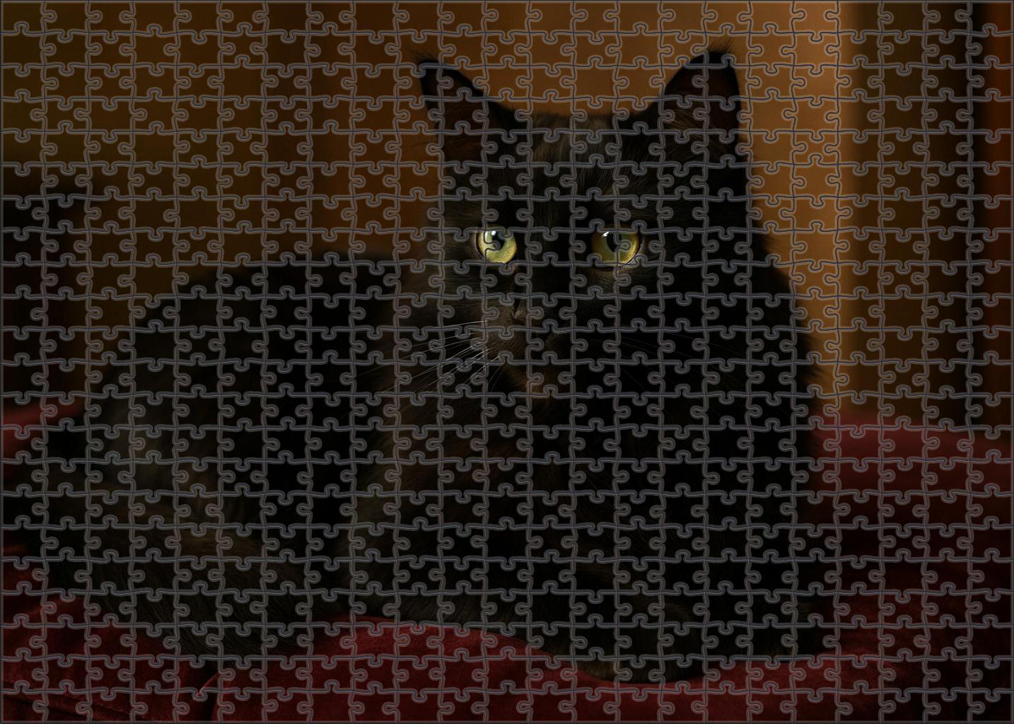 Shadow Lace Longhaired Midnight Cat With Whisper-soft Purr 20 Piece Puzzle