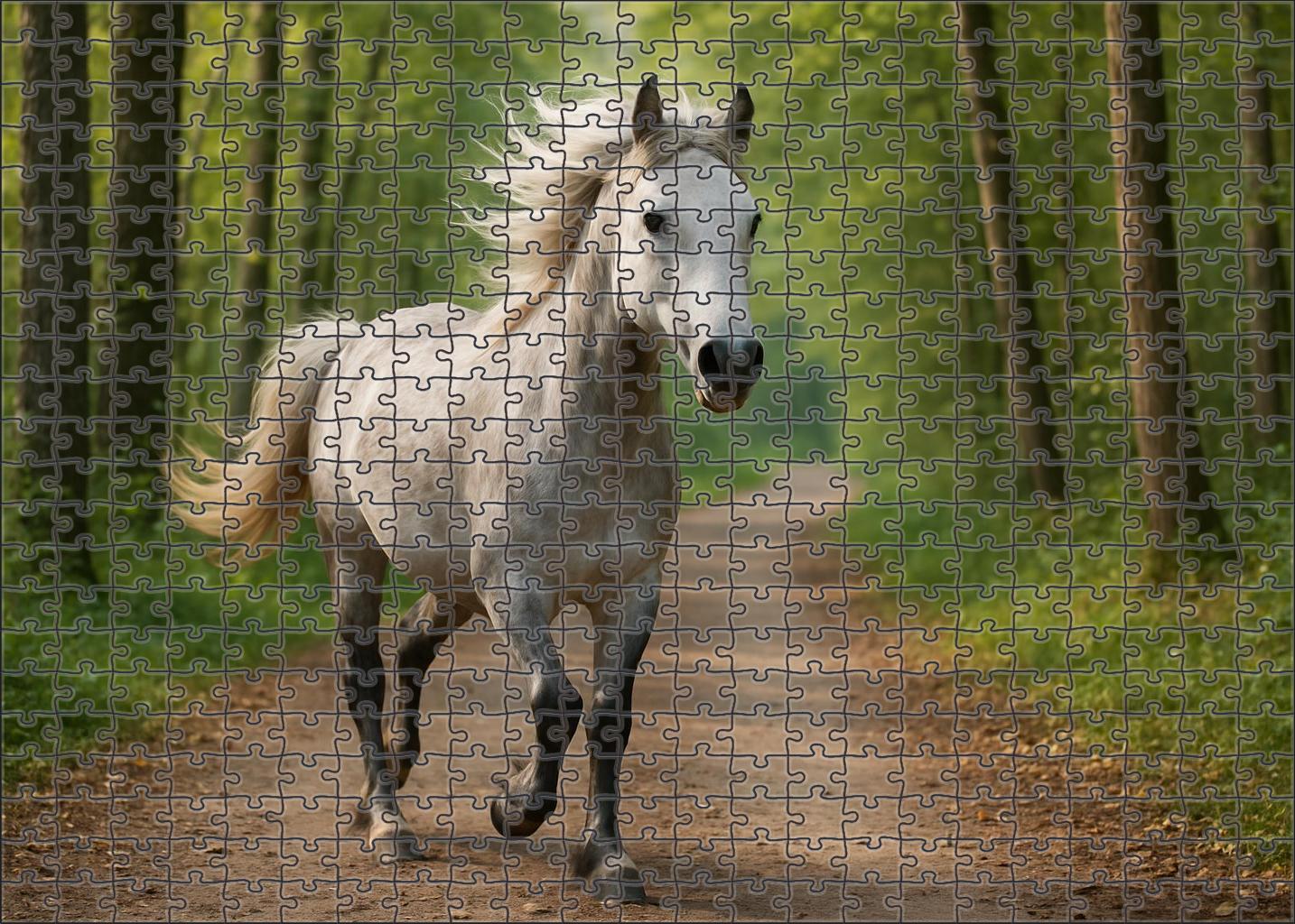 Silver Crest Pony Sleek Gray Pony With Agile Movement Custom Jigsaw Puzzle