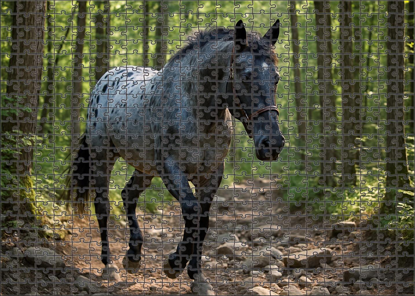 Storm Rider Steely Blue Roan Appaloosa Gelding With Surefooted Trail Talent 50 Piece Puzzle