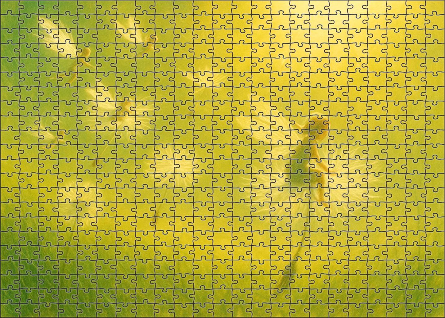 Dandelion Dream Drifters Challenging Puzzles