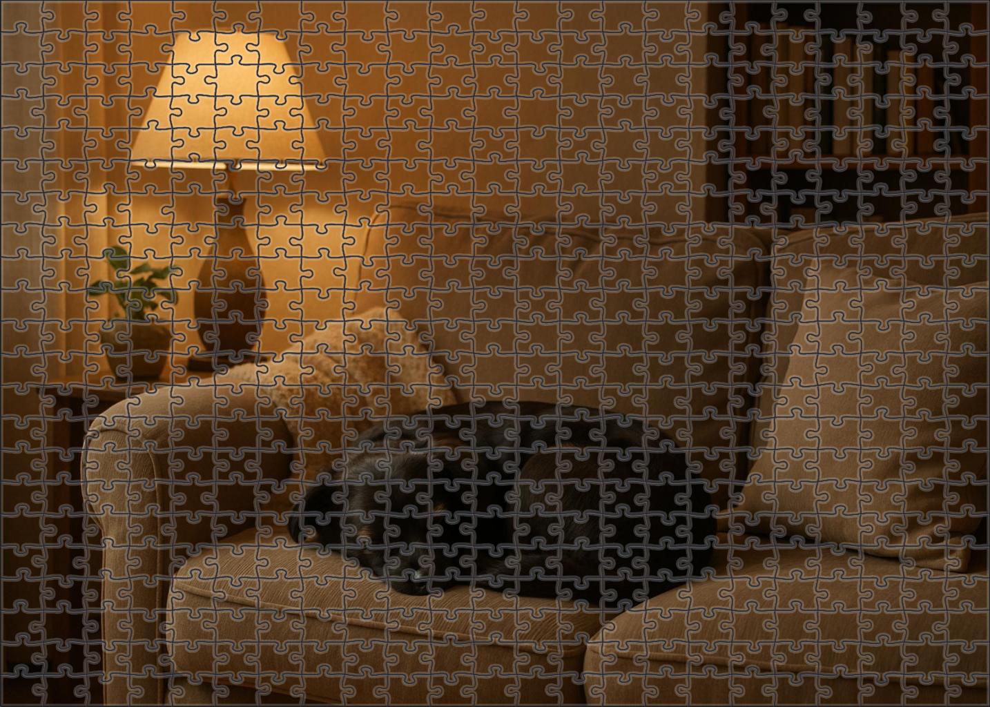 Midnight Sable Puzzle Challenge