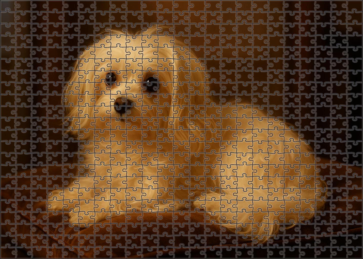 Ivory Twilight Toy 500 Piece Puzzle