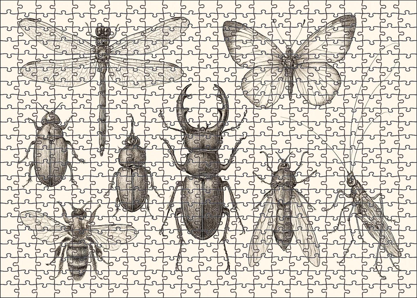 Whimsical Insect Parade Delicate Ink Line Drawing Of Forest Bugs 20 Piece Puzzle