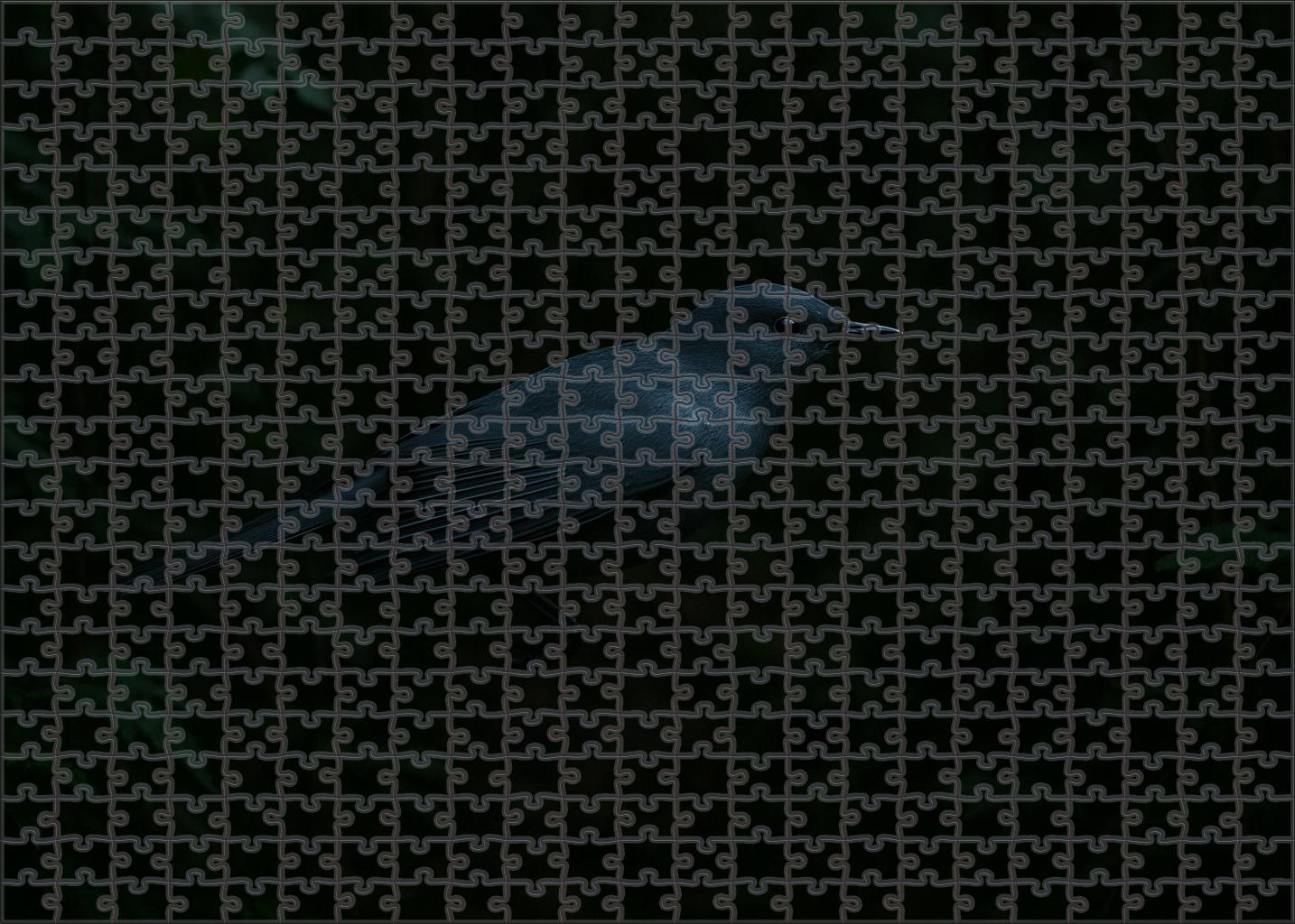 Dusky Veil Silent Forest Phantom With Shimmering Plumage 50 Piece Puzzle