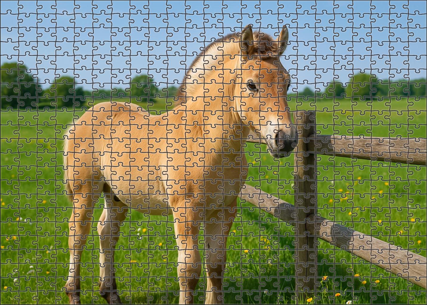 Snowcap Fjord Pony Colt 1000 Piece Puzzle