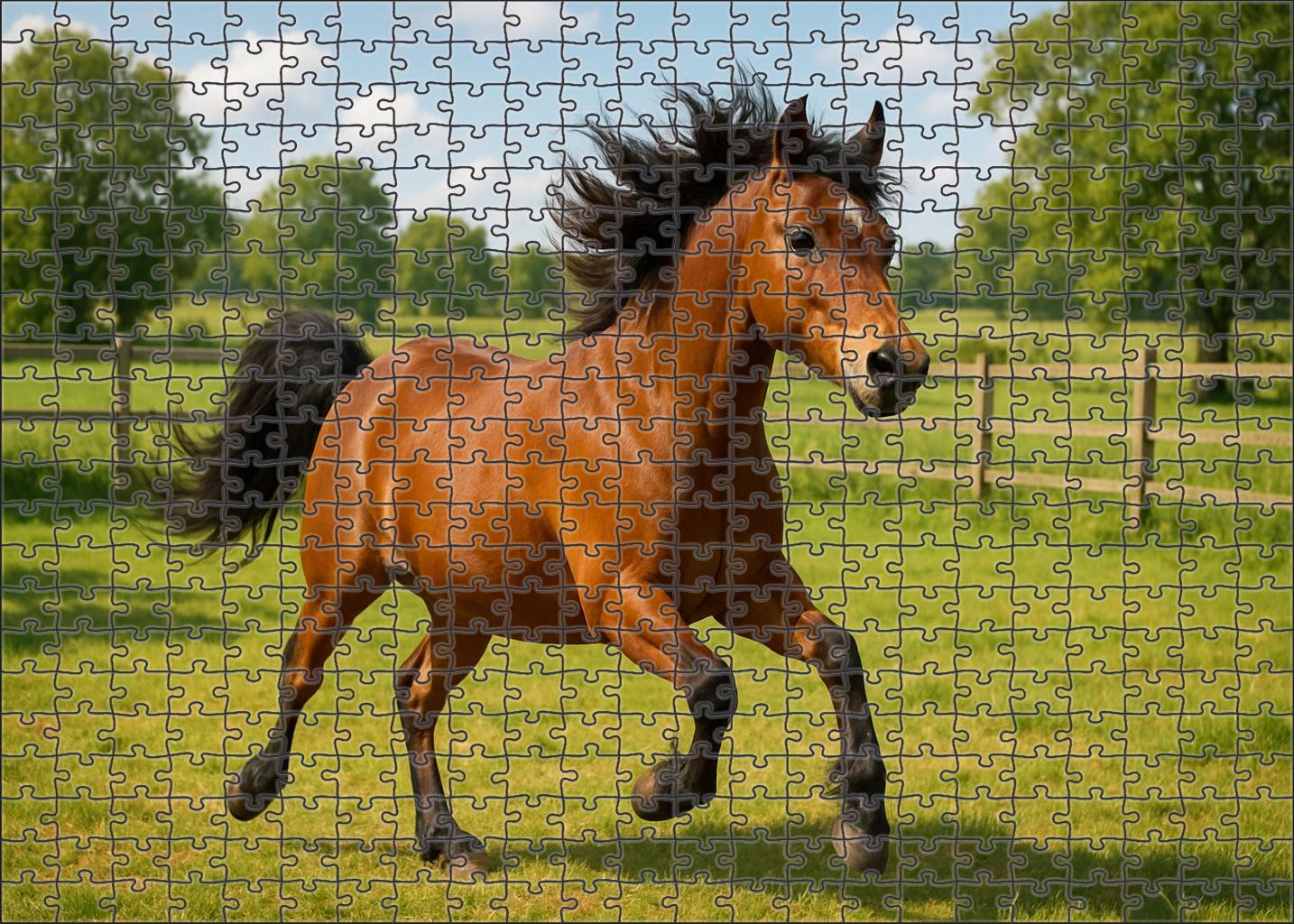 Golden Meadow Pony Vibrant Bay Pony With Spirited Character 500 Piece Puzzle