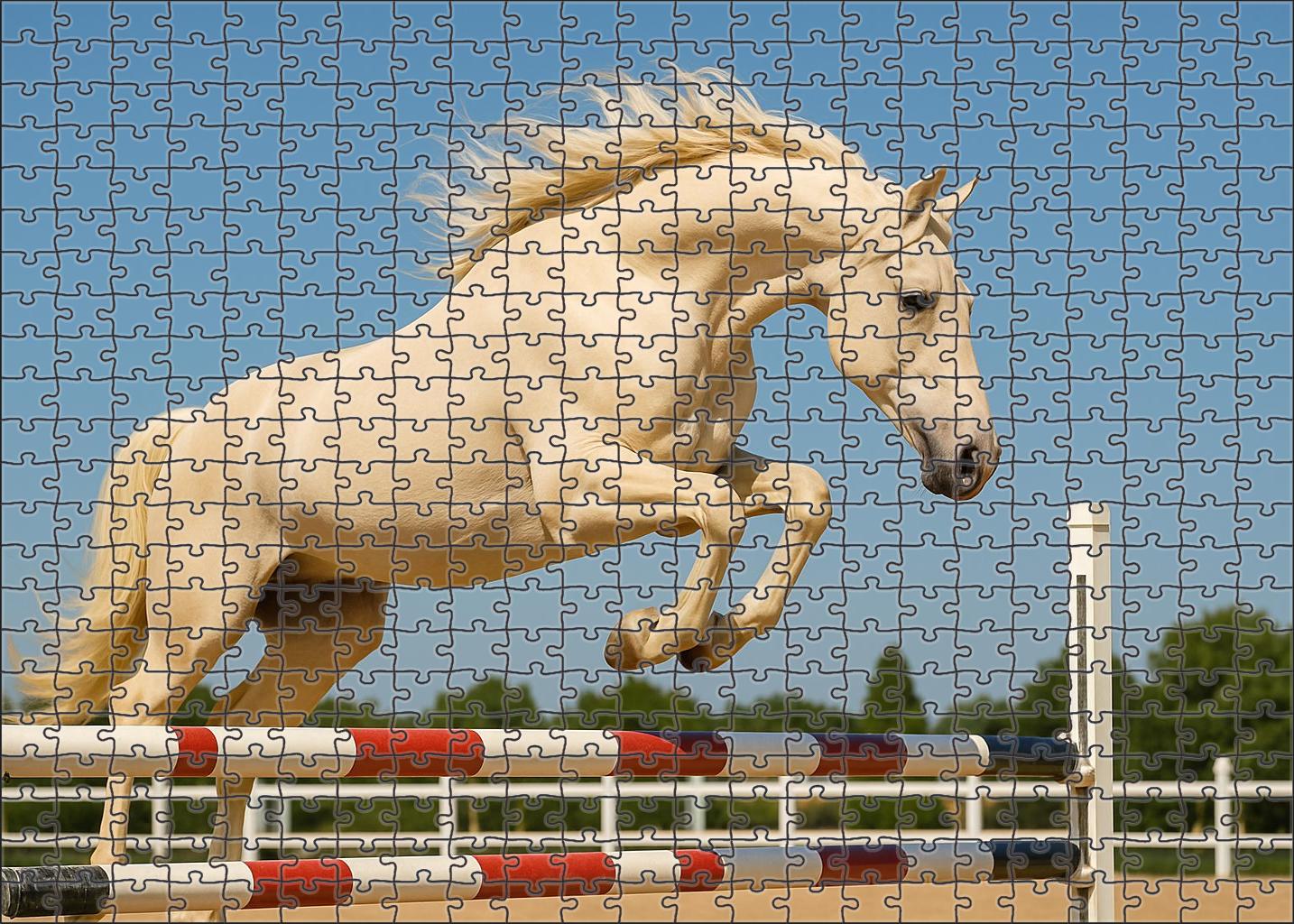Ivory Mist Hunter Delicate Cream-colored Mare With Refined Jumping Technique Easy Puzzles