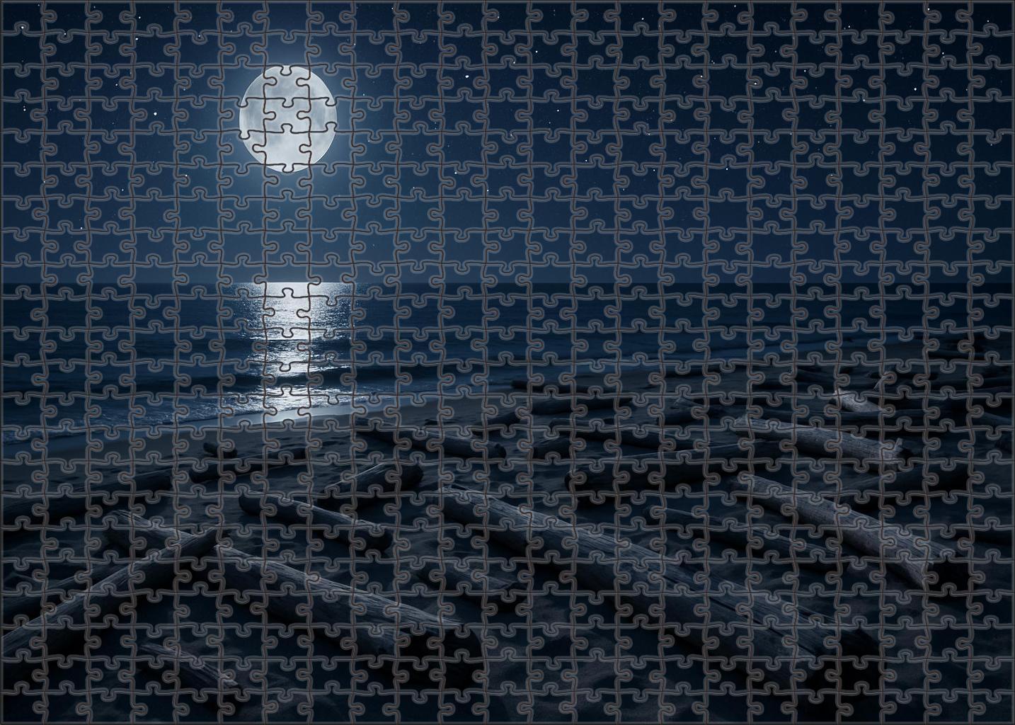 Moonlit Driftwood Bay Mini Puzzle