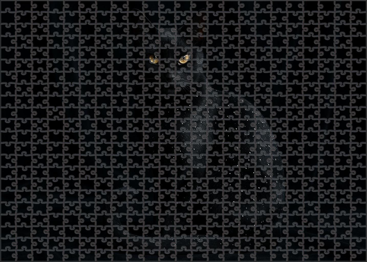 Midnight Mirage Ebony Coat With Starry Speckles And Mysterious Allure 1000 Piece Puzzle