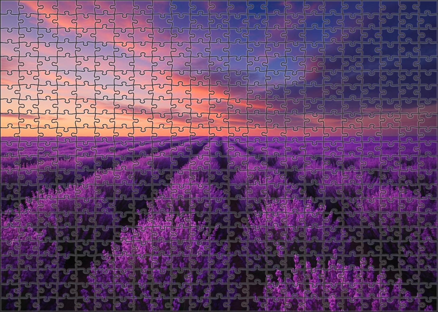 Lavender Field Twilight Glow 1000 Piece Puzzle