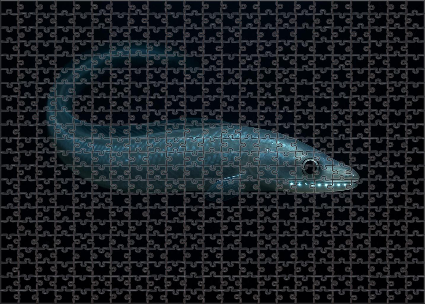 Pearl-scaled Abyssal Eel Deep Ocean Predator With Translucent Body Puzzle Fun