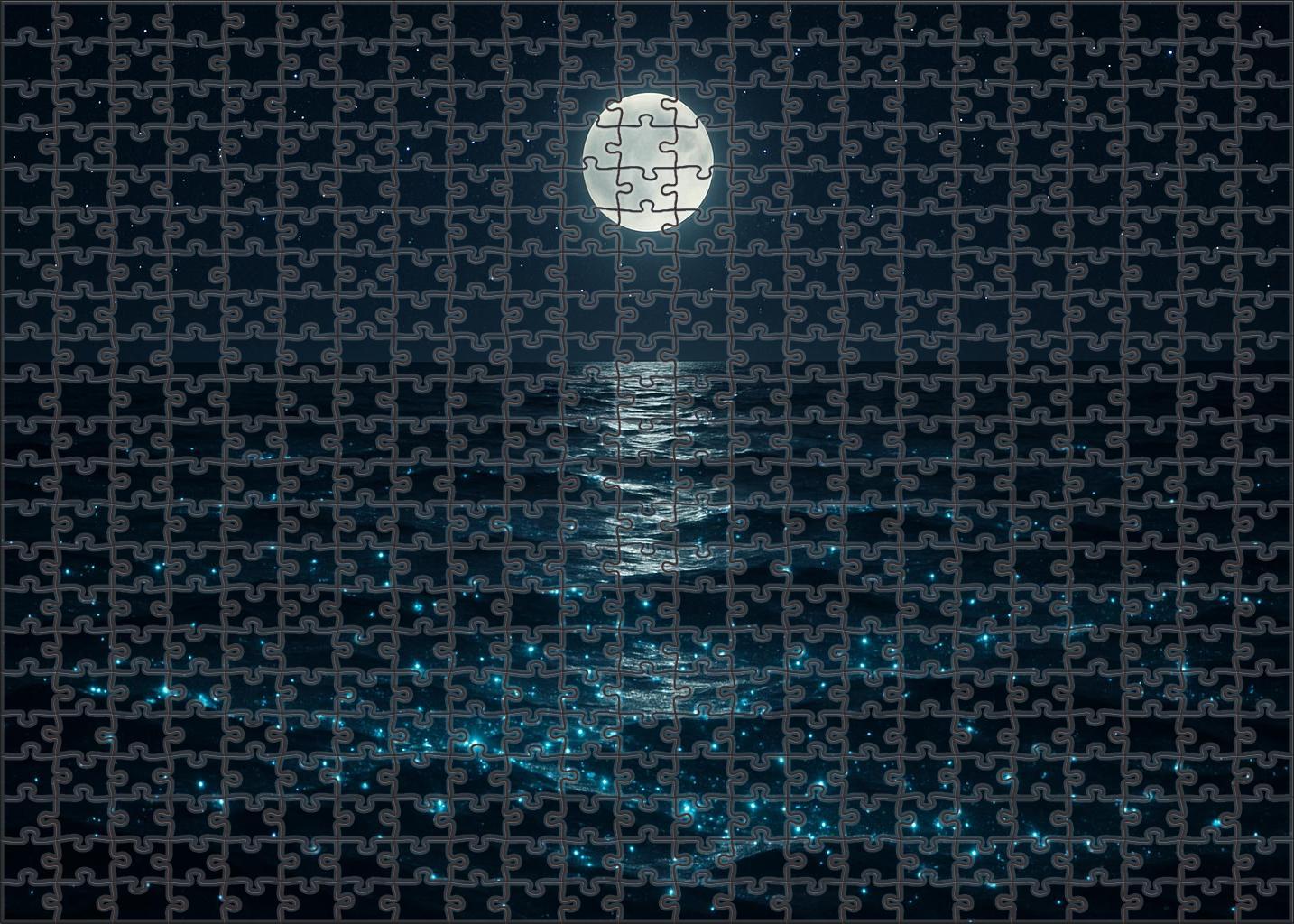 Moonlit Bioluminescent Drift 300 Piece Puzzle