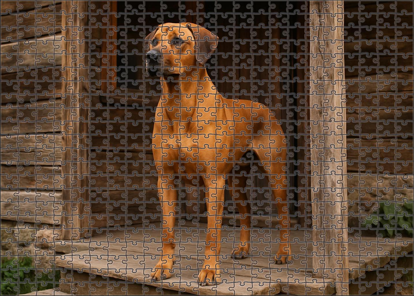 Tawny Sentinel 100 Piece Puzzle