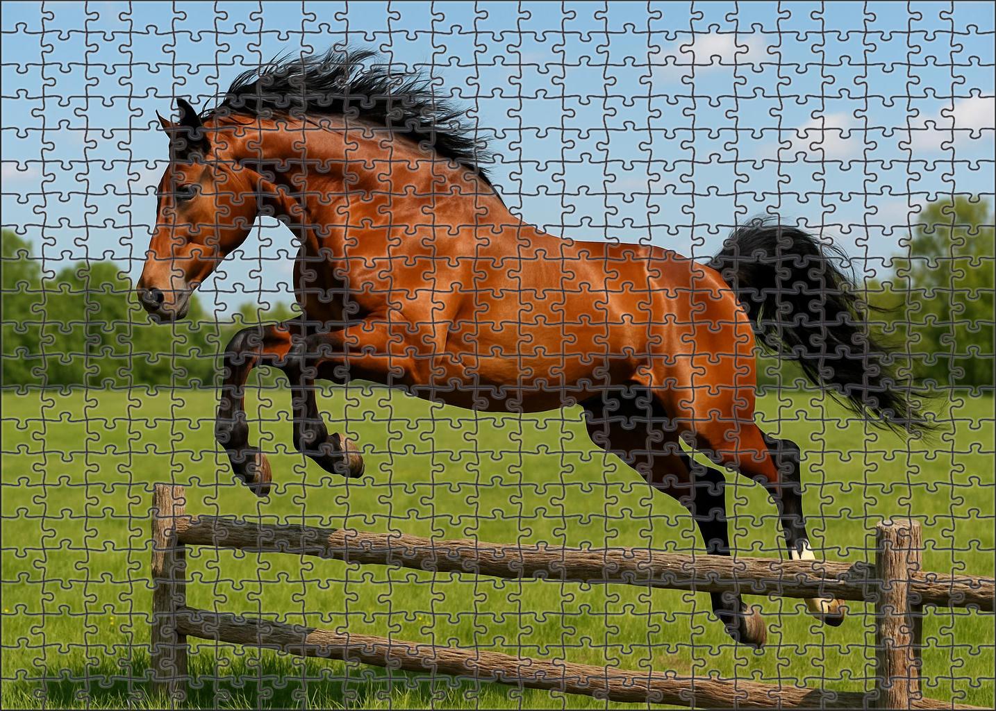 Golden Meadow Hunter Large Format Puzzle