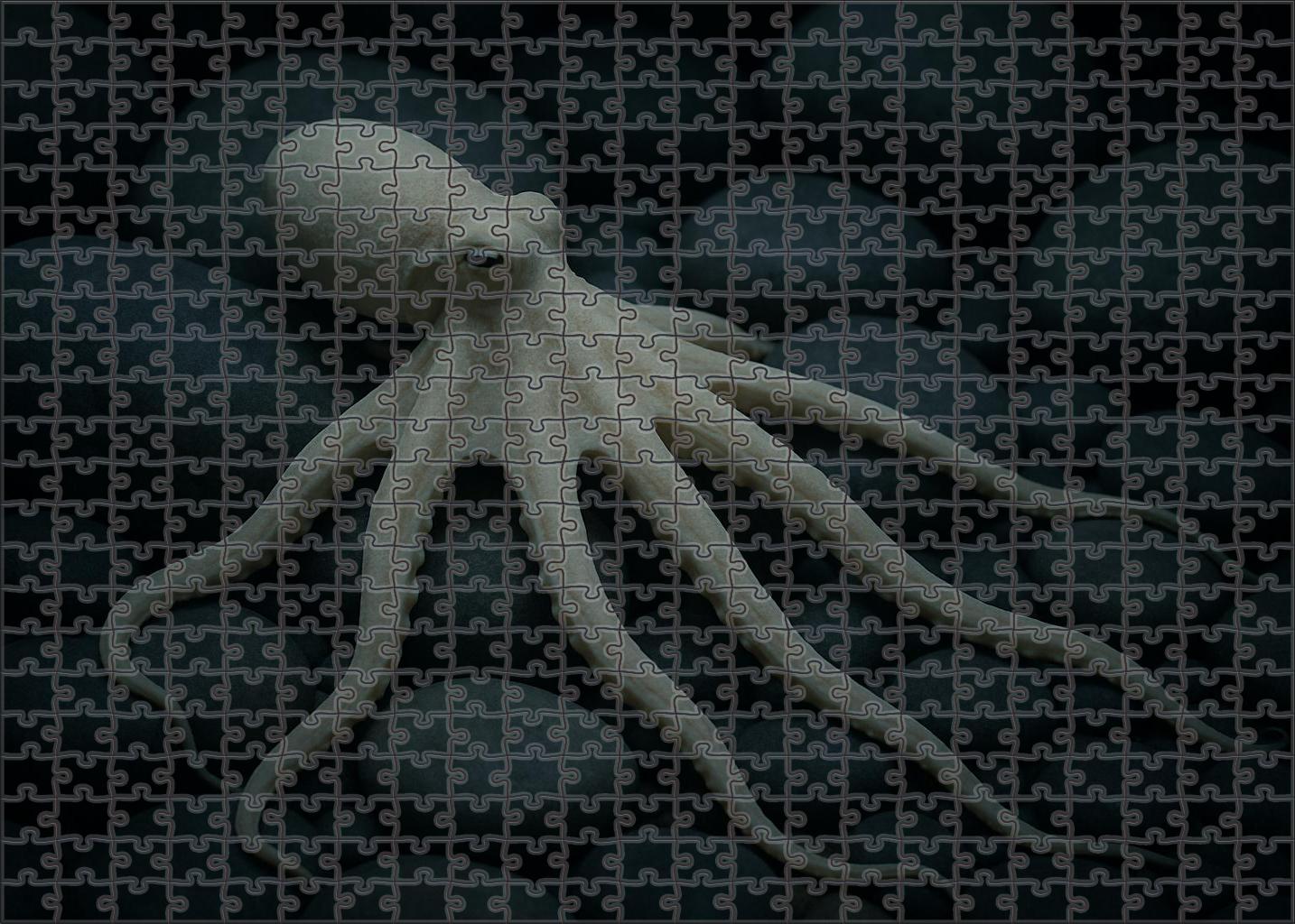 Ivory Tentacle Octopus Small Cephalopod With Long Slender Arms And Pale Coloration Easy Puzzles