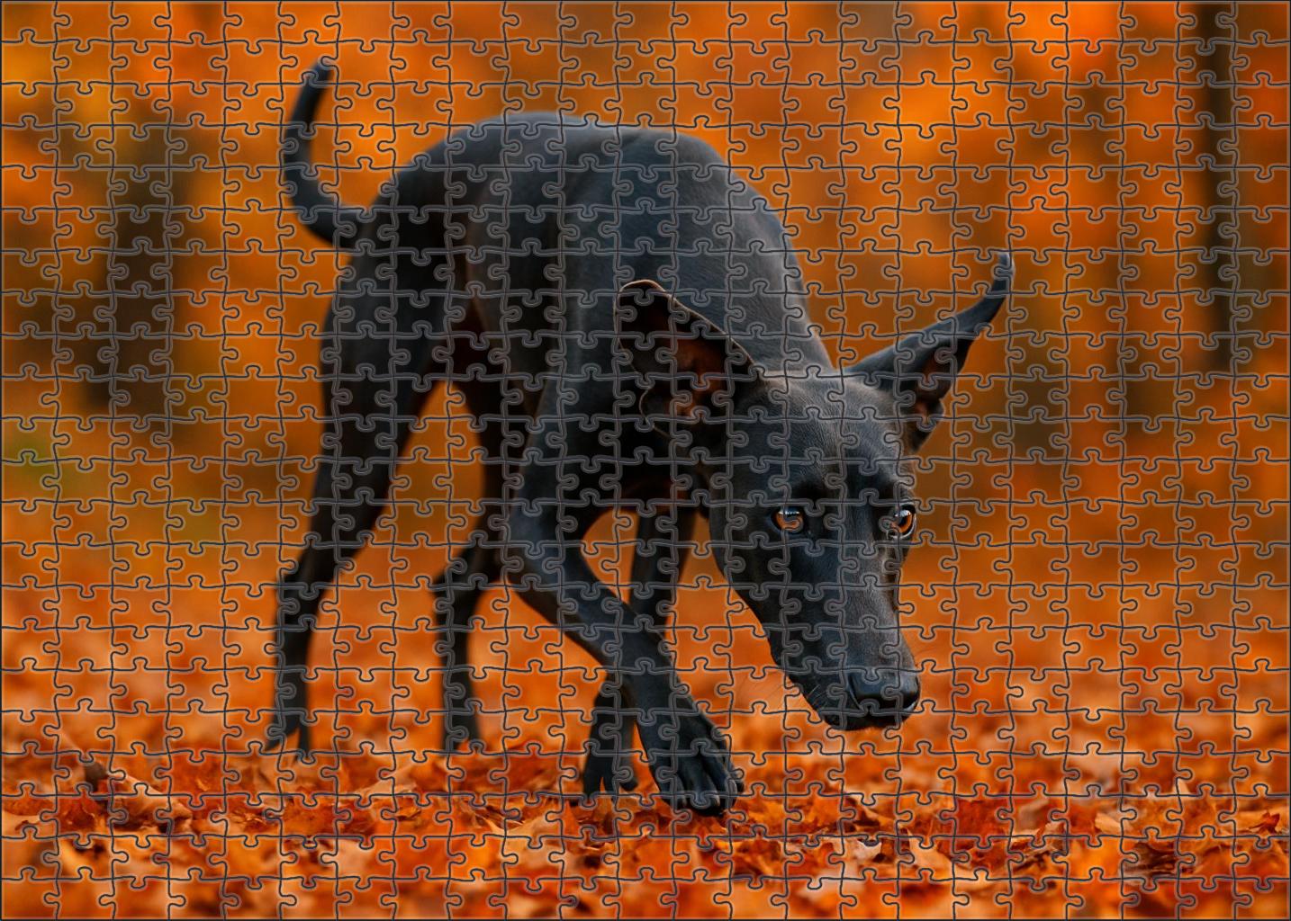 Midnight Ripple Custom Jigsaw Puzzle