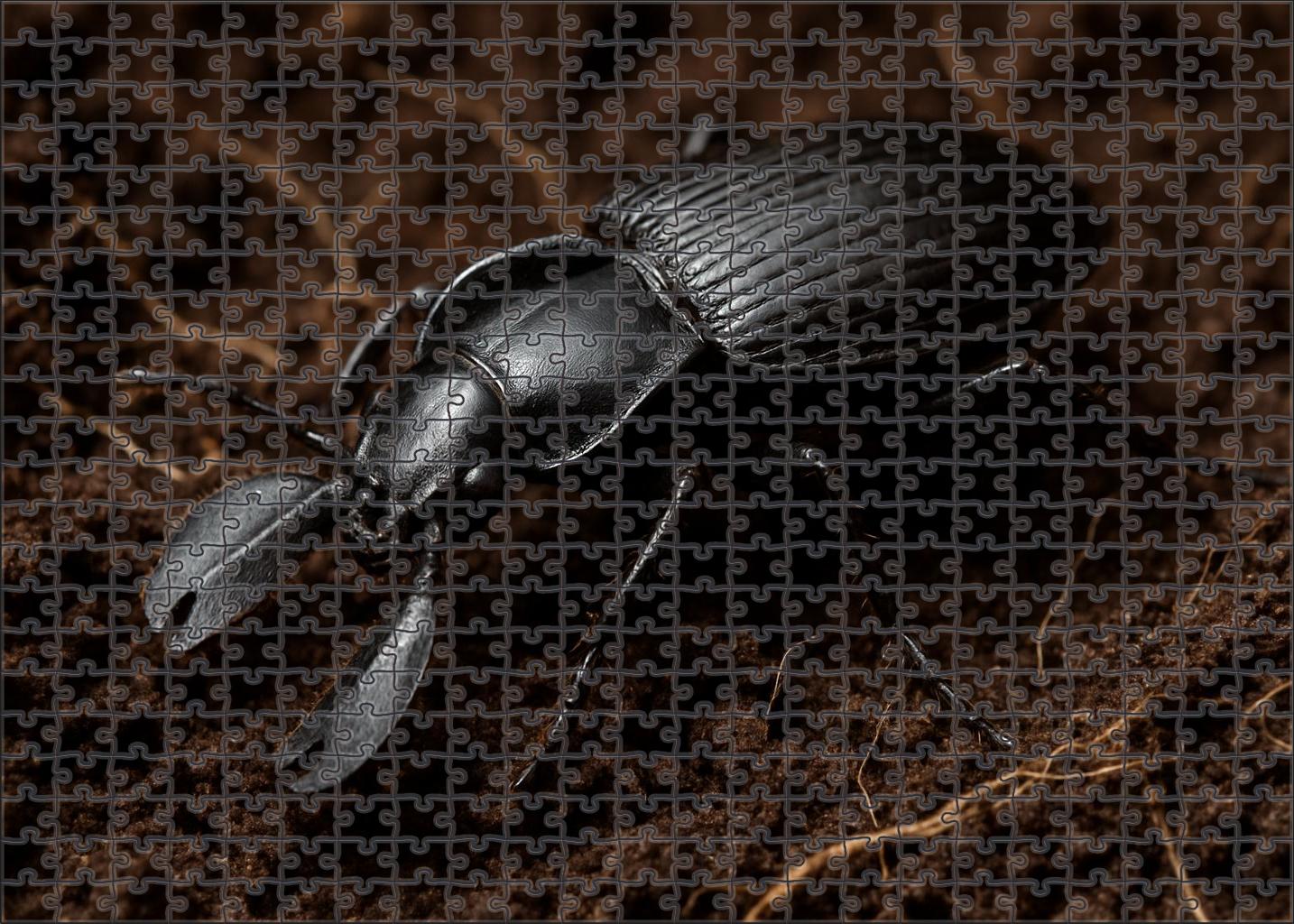 Obsidian Burrower Subterranean Insect With Hardened Armor Plates Puzzle Collection