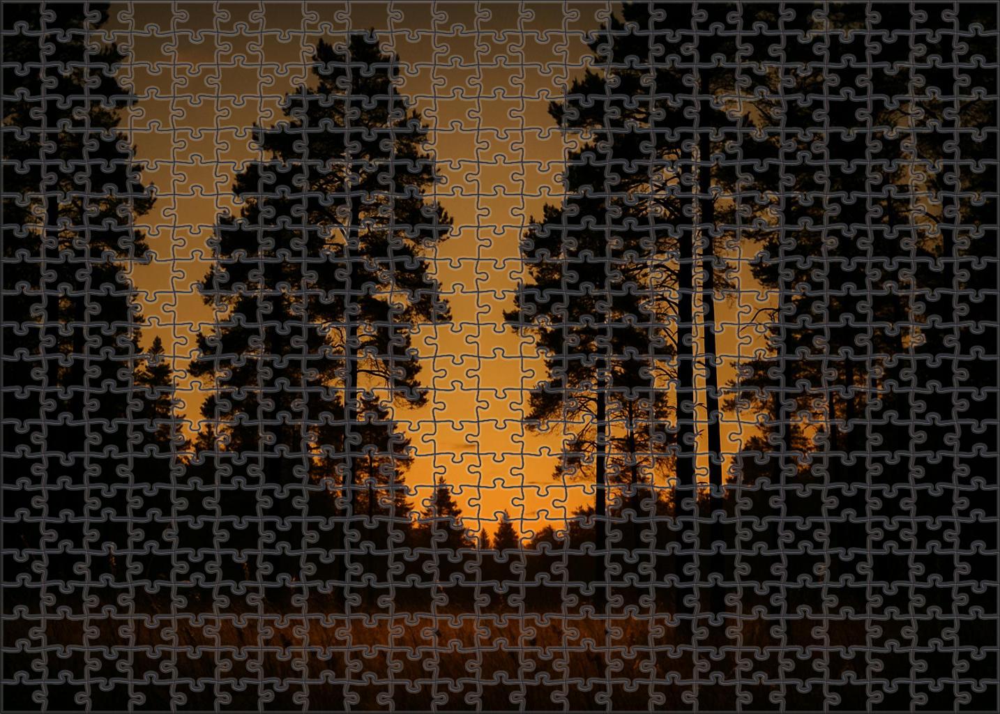 Golden Twilight Wood 100 Piece Puzzle