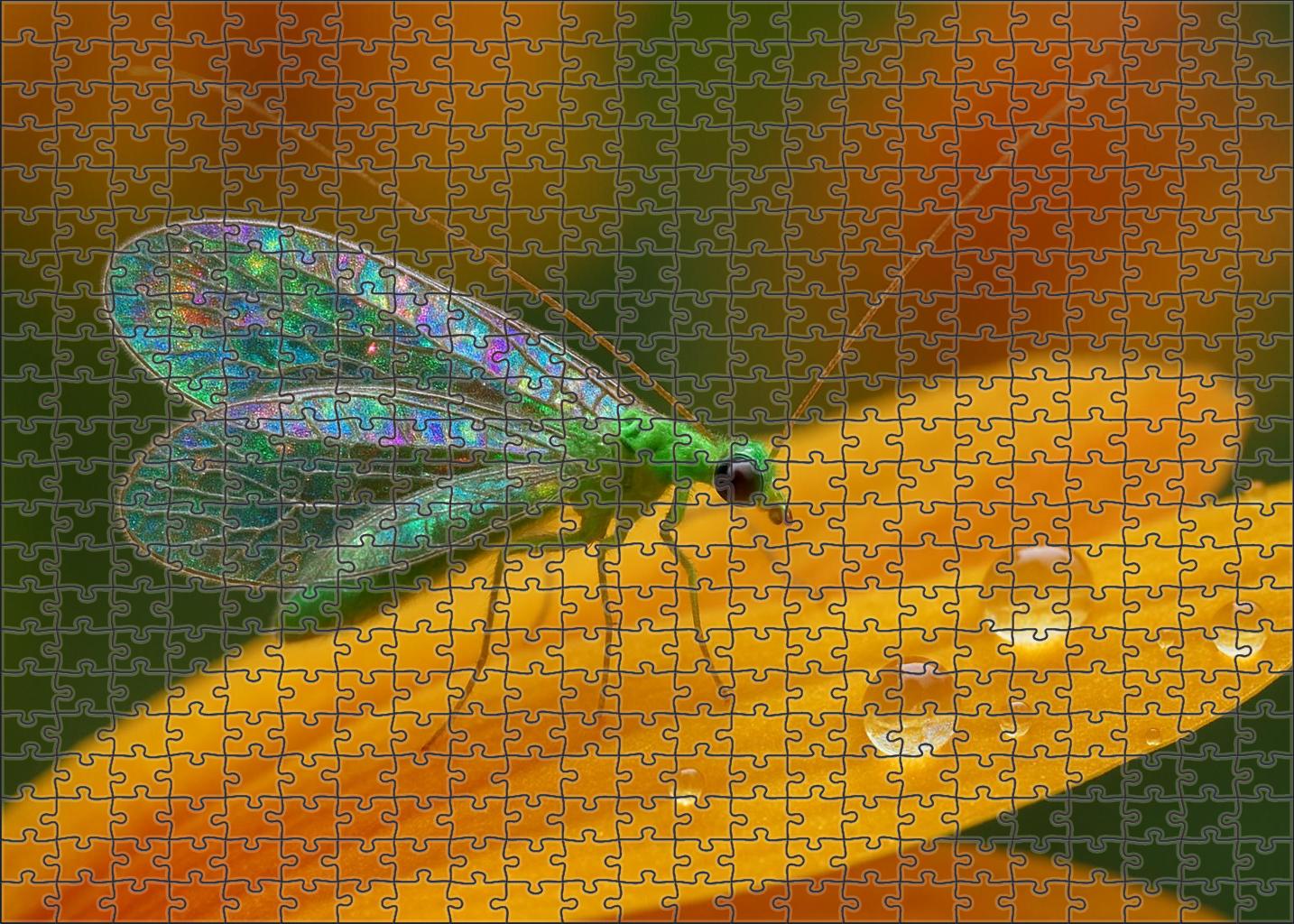 Silverleaf Seraph Delicate Insect With Translucent Wings And Intricate Markings Premium Puzzle Pieces