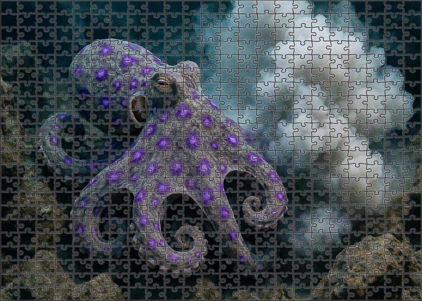 Violet Spotted Octopus Agile Ink-spraying Cephalopod Puzzle Fun
